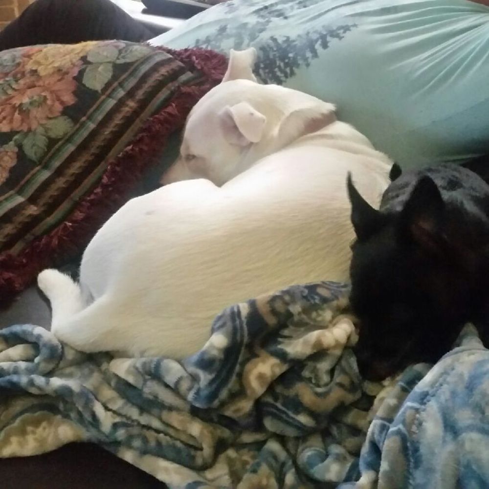 Meet your Posher, Cindy